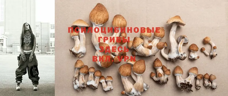 OMG маркетплейс  Химки  Галлюциногенные грибы MAGIC MUSHROOMS 